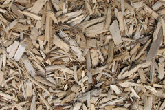 biomass boilers Marden Ash